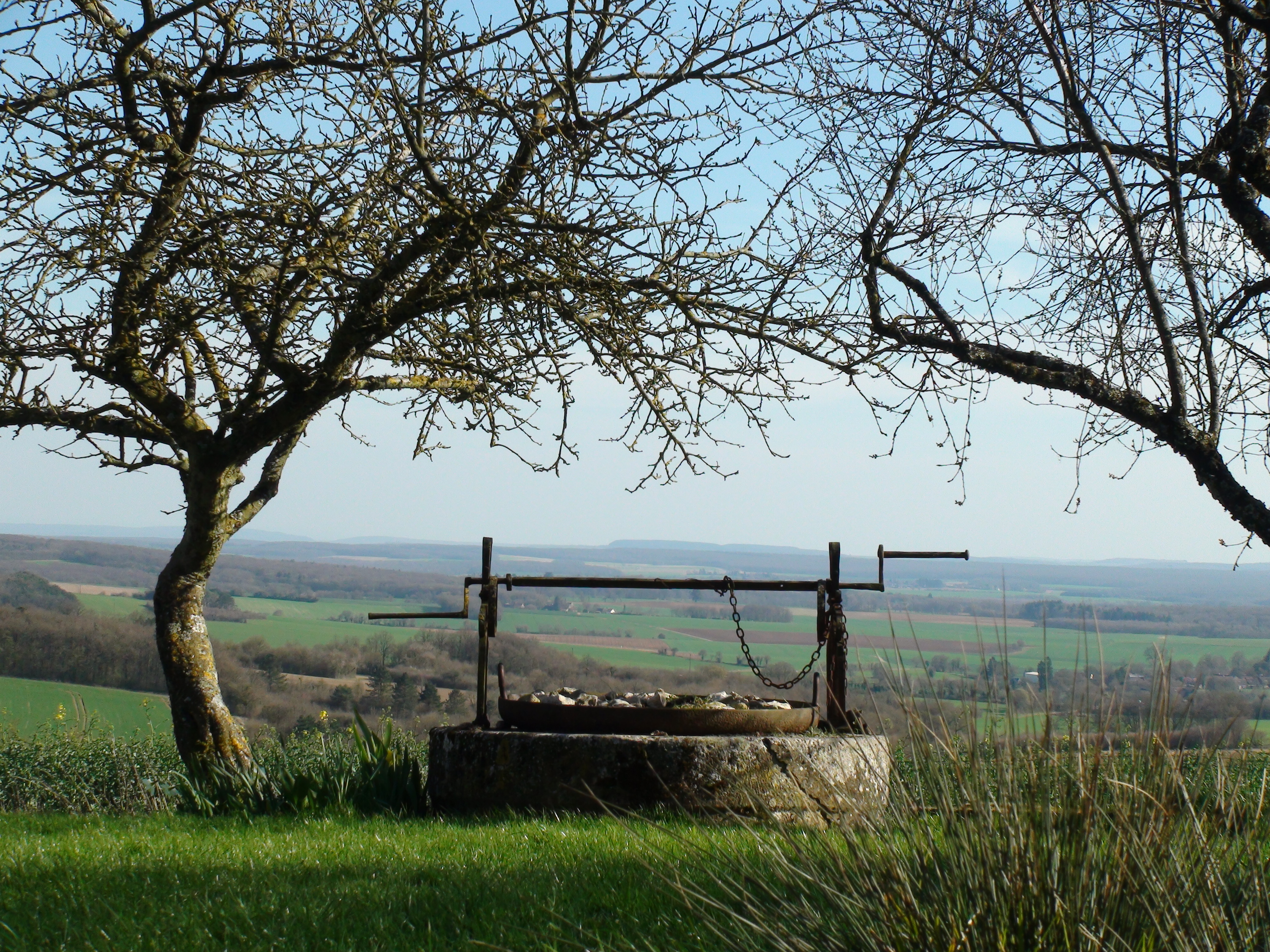Trafics d’enfants et origines de la sexualisation : comment en est-on arrivés là ?