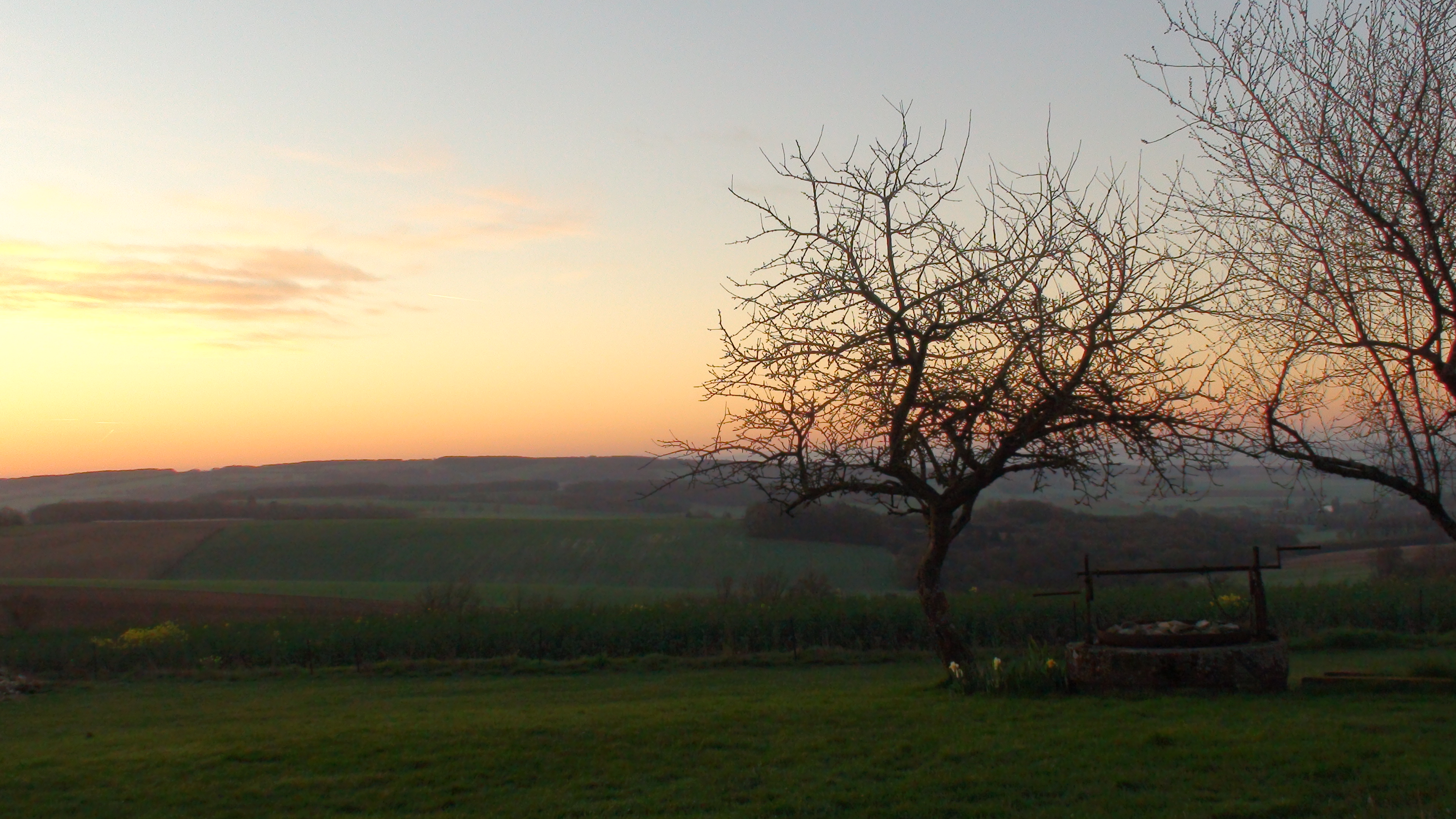 Retour sur le récentisme